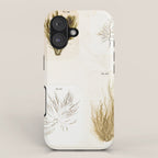 Specimens from "Algology: Algae and Corallines from the Bay & Harbor of New York," 1850 iPhone Case Gallery Image 1
