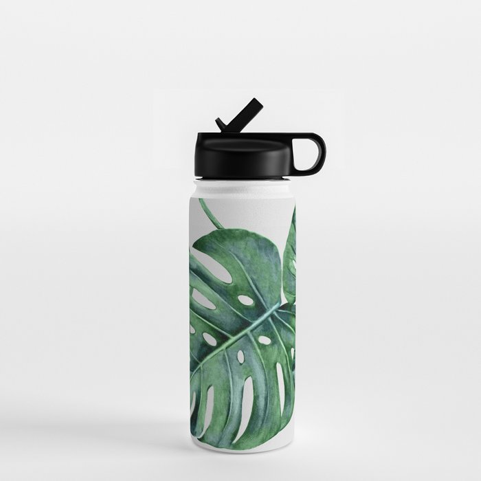 Monstera Water Bottle Gallery Image 1