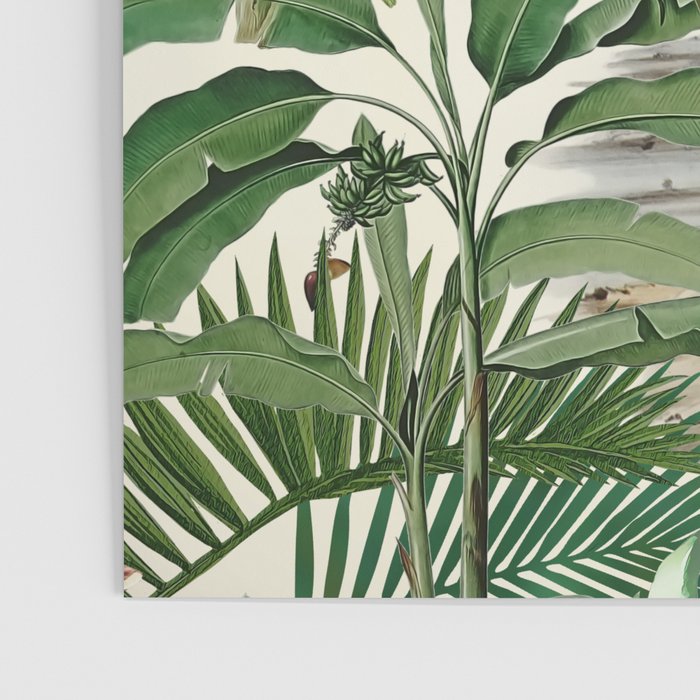 Tropical Heron Bird Rainforest Illustration Poster Gallery Image 3