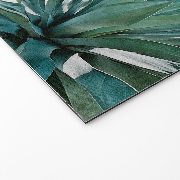 Agave Cactus Welcome Mat Gallery Image 2