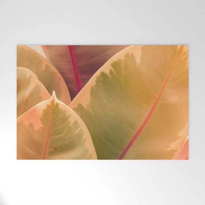 Beautiful Leaves II  botanical rubber plant leaf photograph Welcome Mat Gallery Image 1