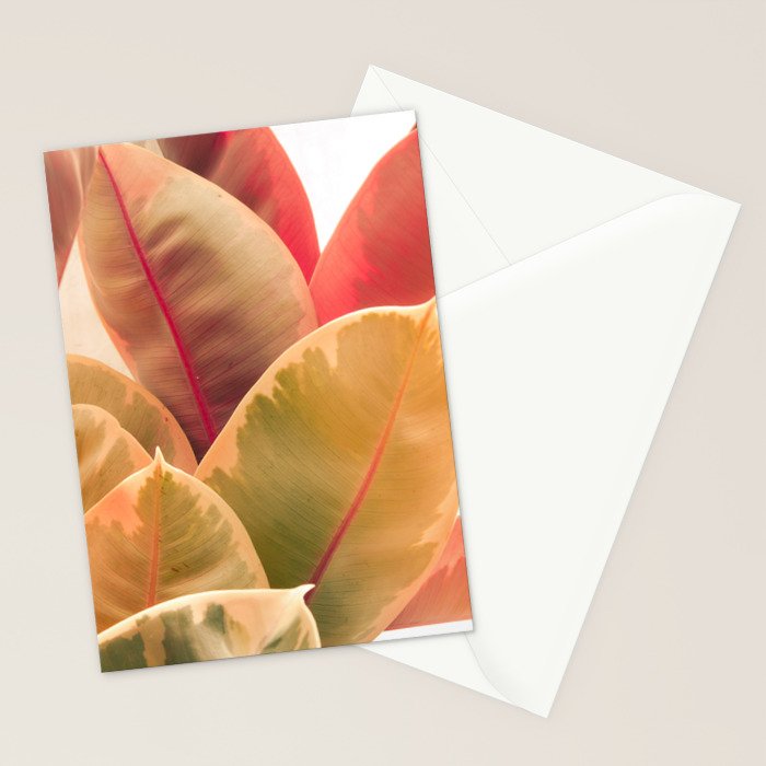 Beautiful Leaves II  botanical rubber plant leaf photograph Stationery Card Gallery Image 2