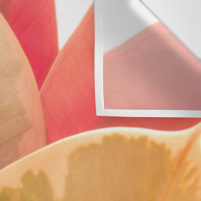 Beautiful Leaves II  botanical rubber plant leaf photograph Wall Tapestry Gallery Image 3