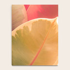 Beautiful Leaves II  botanical rubber plant leaf photograph Notebook Gallery Image 4