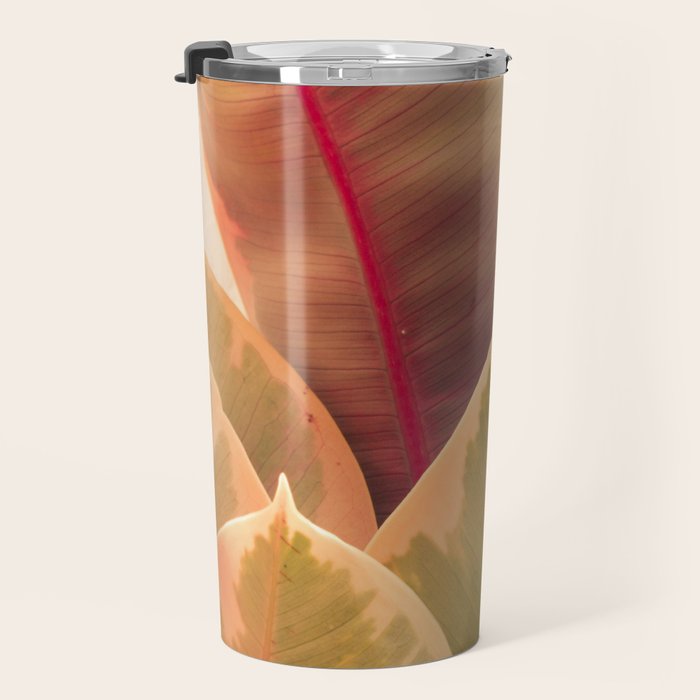 Beautiful Leaves II  botanical rubber plant leaf photograph Travel Mug Gallery Image 3