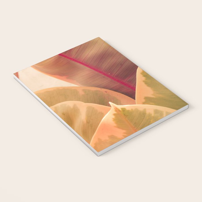 Beautiful Leaves II  botanical rubber plant leaf photograph Notebook Gallery Image 3