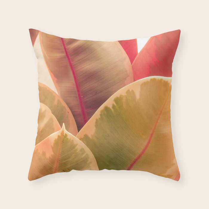 Beautiful Leaves II  botanical rubber plant leaf photograph Throw Pillow Gallery Image 6