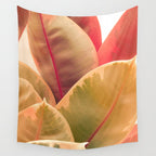 Beautiful Leaves II  botanical rubber plant leaf photograph Wall Tapestry Gallery Image 4