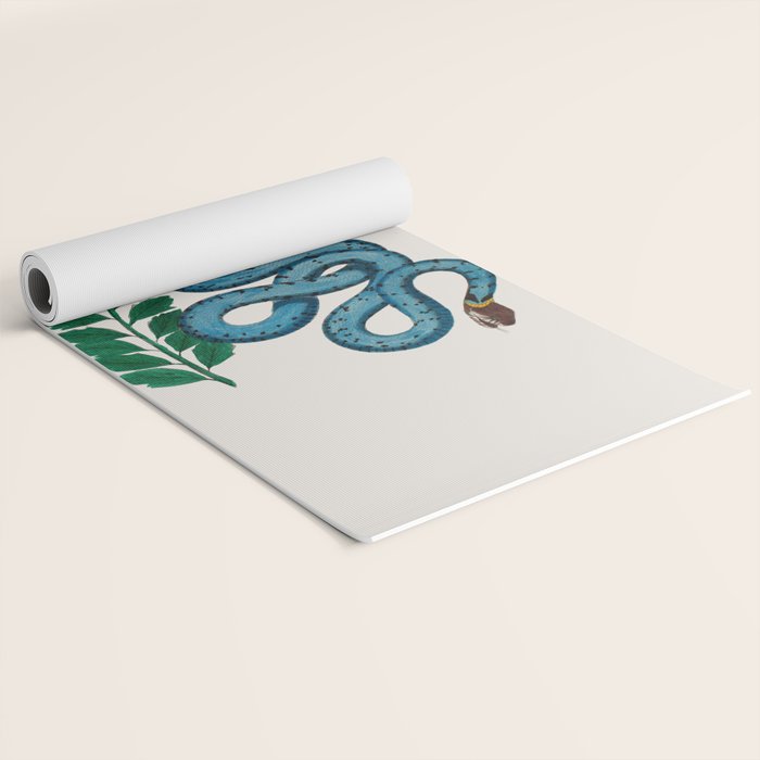 Albertus Seba Snakes Blue Snake  Yoga Mat Gallery Image 2