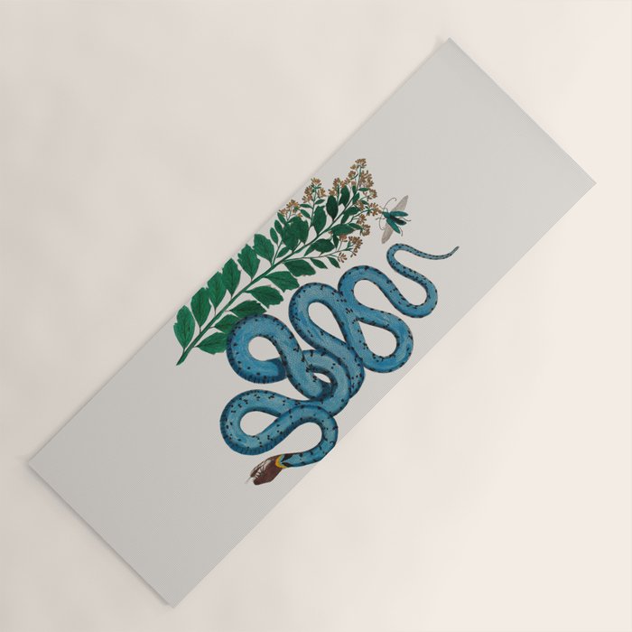 Albertus Seba Snakes Blue Snake  Yoga Mat Gallery Image 1