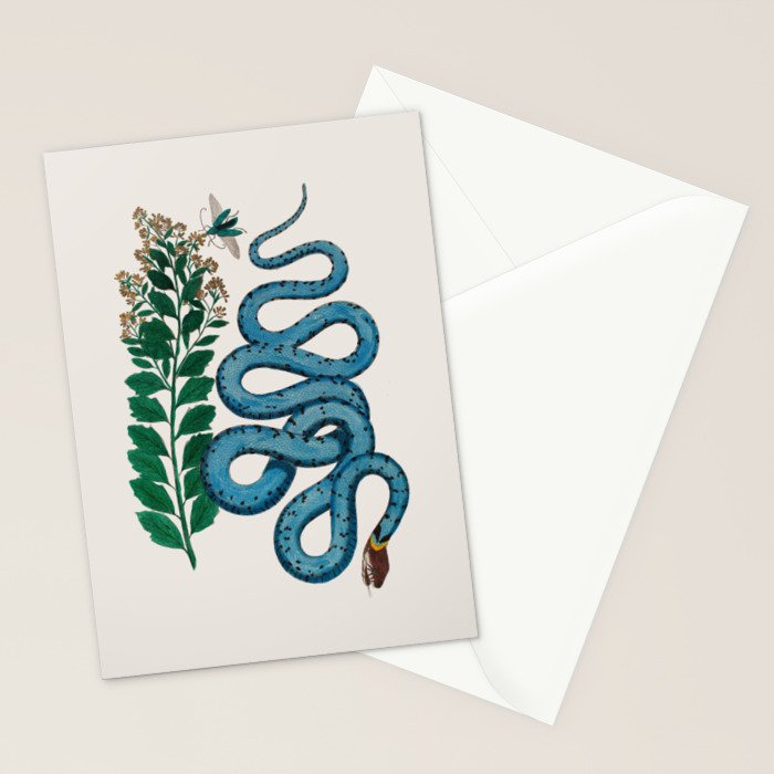 Albertus Seba Snakes Blue Snake  Stationery Card Gallery Image 2