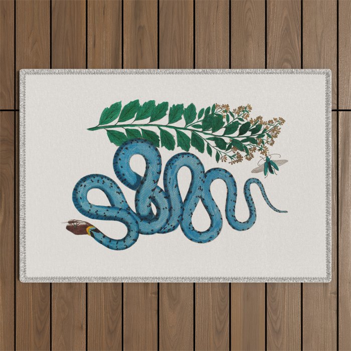 Albertus Seba Snakes Blue Snake  Outdoor Rug Gallery Image 1