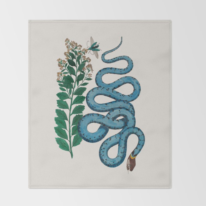 Albertus Seba Snakes Blue Snake  Throw Blanket Gallery Image 2