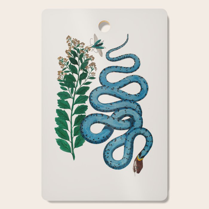 Albertus Seba Snakes Blue Snake  Cutting Board Gallery Image 1