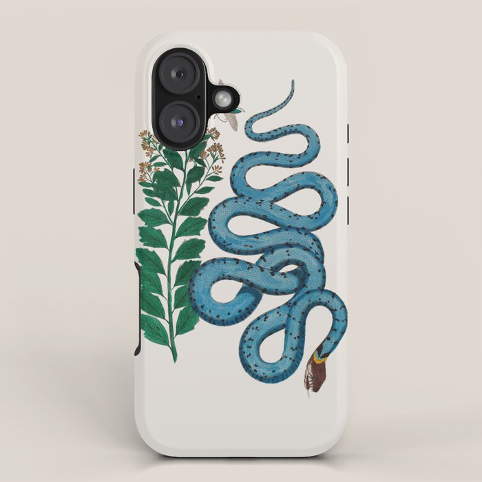 Albertus Seba Snakes Blue Snake  iPhone Case Gallery Image 1