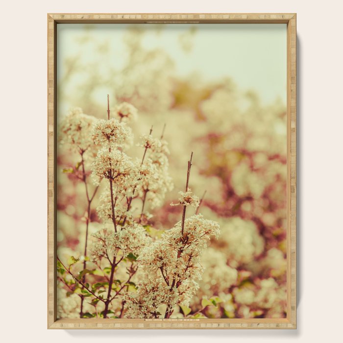 Hush My Love - Blush Lilac Serving Tray Gallery Image 1