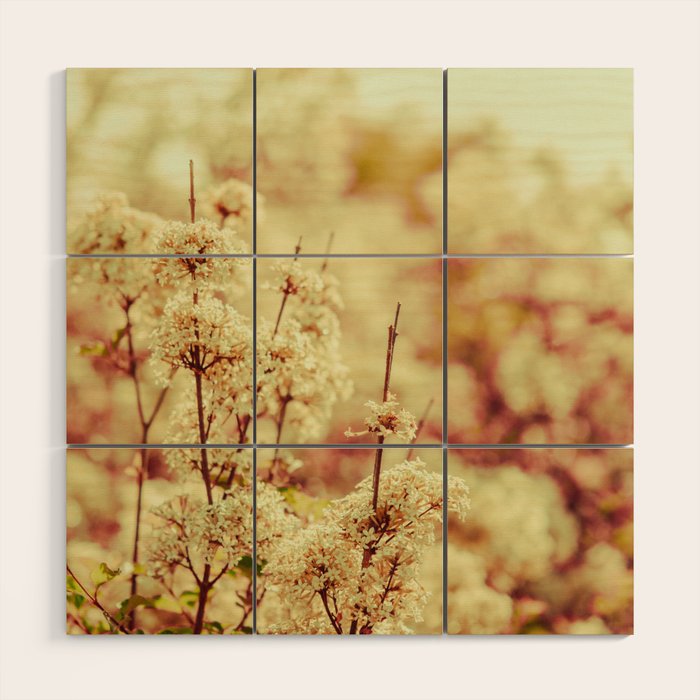 Hush My Love - Blush Lilac Wood Wall Art Gallery Image 1