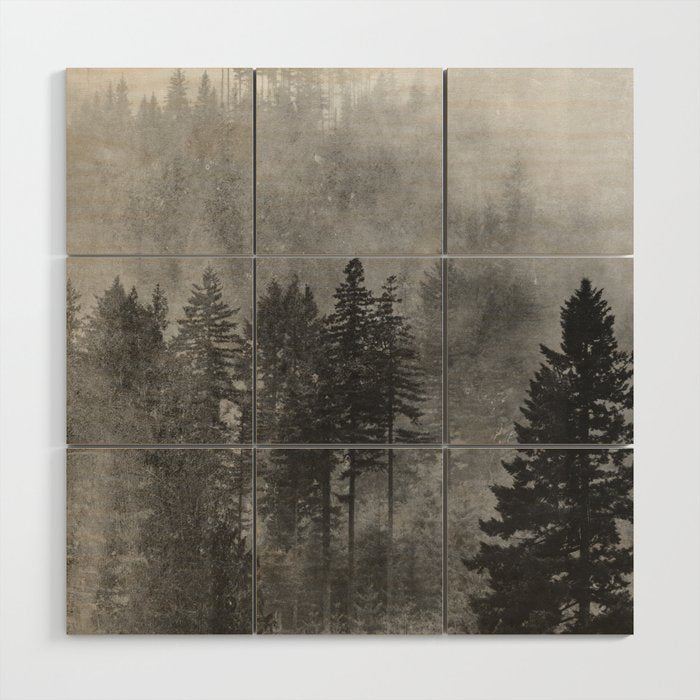 Pacific Northwest Forest Adventure - Nature Photography Wood Wall Art Gallery Image 1