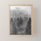 Pacific Northwest Forest Adventure - Nature Photography Mini Art Print Gallery Image 1