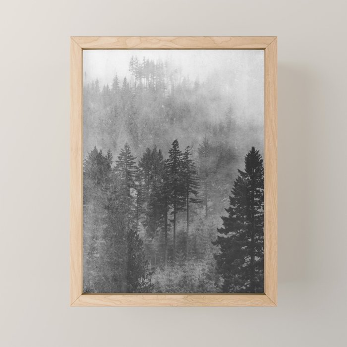 Pacific Northwest Forest Adventure - Nature Photography Mini Art Print Gallery Image 1