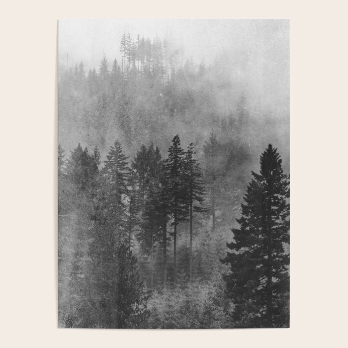 Pacific Northwest Forest Adventure - Nature Photography Poster Gallery Image 4