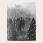 Pacific Northwest Forest Adventure - Nature Photography Poster Gallery Image 4