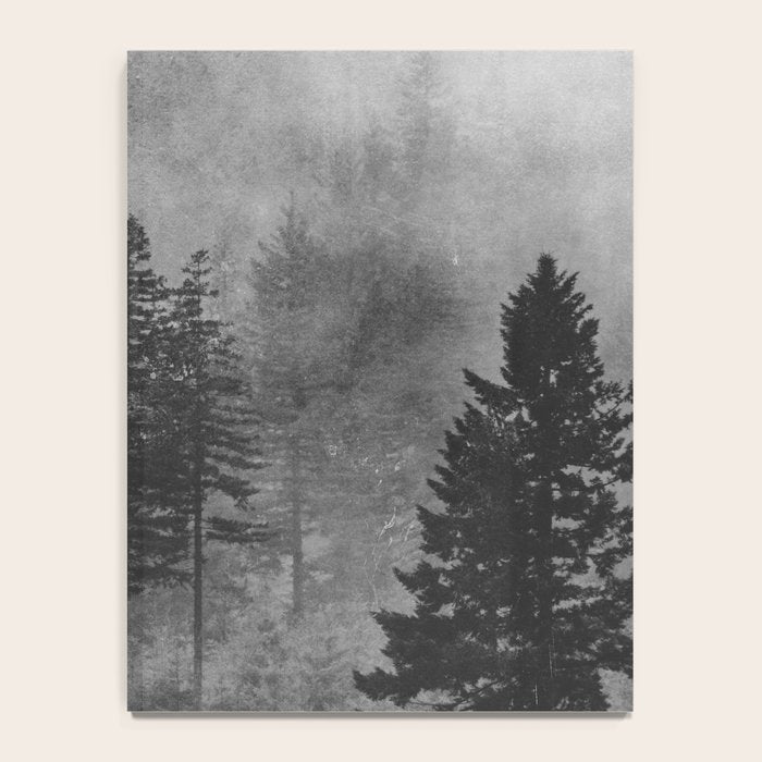 Pacific Northwest Forest Adventure - Nature Photography Notebook Gallery Image 4