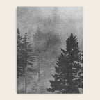 Pacific Northwest Forest Adventure - Nature Photography Notebook Gallery Image 4