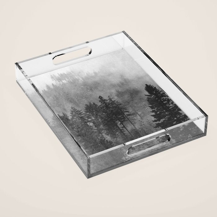 Pacific Northwest Forest Adventure - Nature Photography Acrylic Tray Gallery Image 1