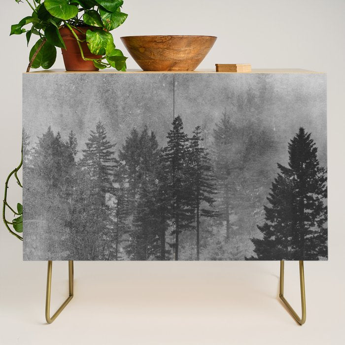 Pacific Northwest Forest Adventure - Nature Photography Credenza Gallery Image 1