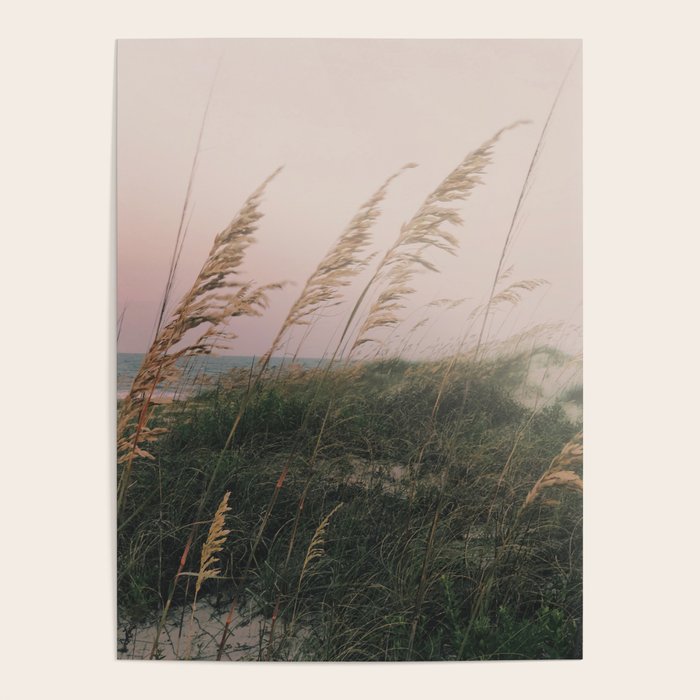 California Dreaming - boho beach nature photograph Poster Gallery Image 4