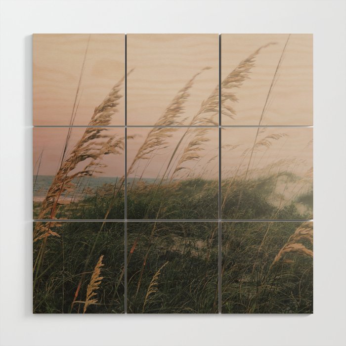 California Dreaming - boho beach nature photograph Wood Wall Art Gallery Image 1
