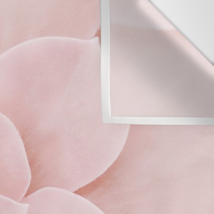 Blush Succulent Wall Tapestry Gallery Image 3