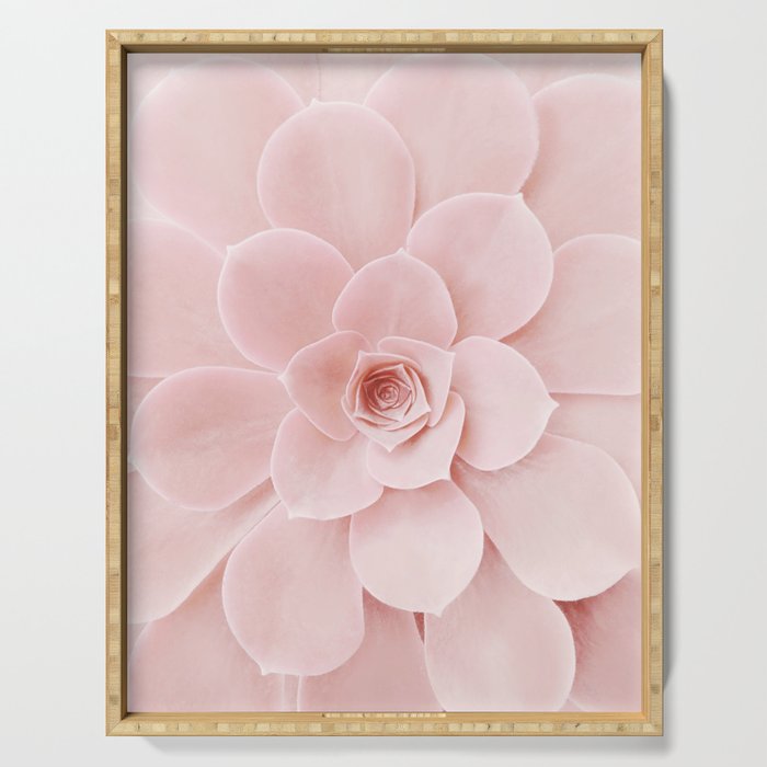 Blush Succulent Serving Tray Gallery Image 1