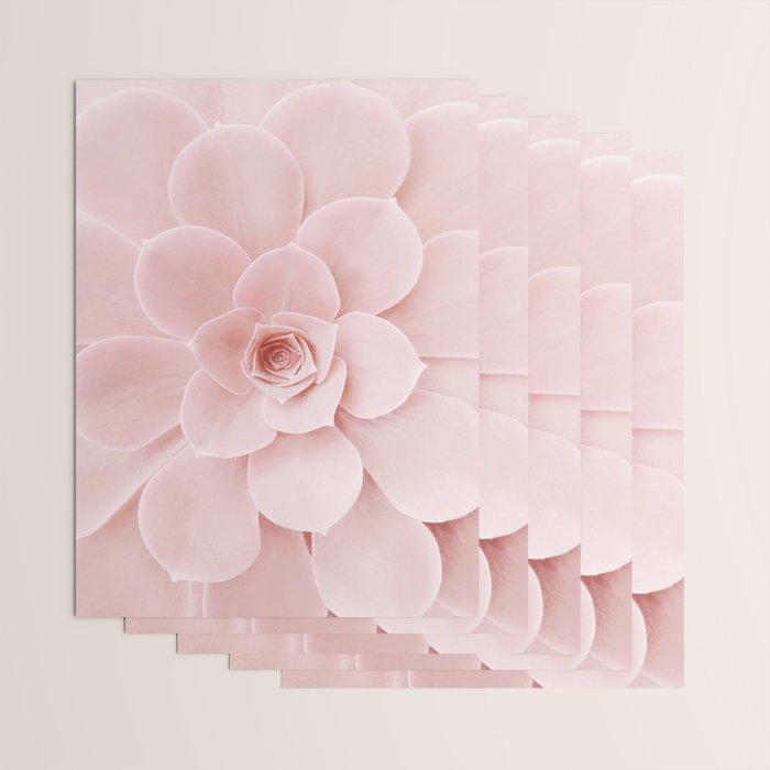 Blush Succulent Wrapping Paper Gallery Image 3
