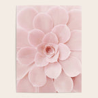Blush Succulent Poster Gallery Image 4