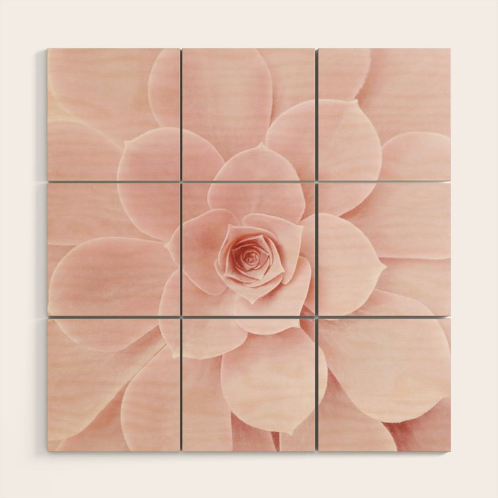 Blush Succulent Wood Wall Art Gallery Image 1