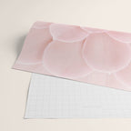 Blush Succulent Wrapping Paper Gallery Image 2