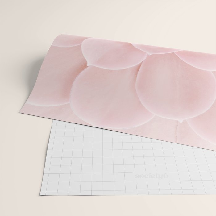 Blush Succulent Wrapping Paper Gallery Image 2