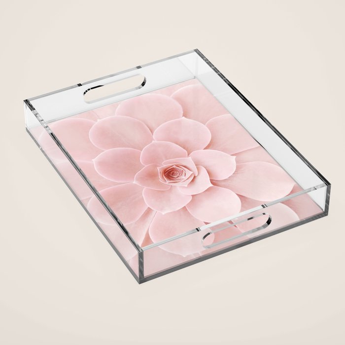Blush Succulent Acrylic Tray Gallery Image 1