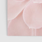 Blush Succulent Poster Gallery Image 3