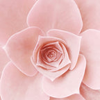Blush Succulent Coffee Mug Gallery Image 2