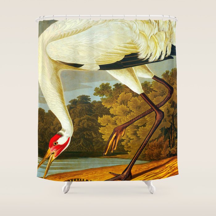 Whooping Crane Shower Curtain Gallery Image 1