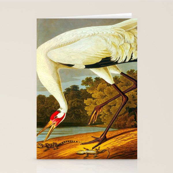 Whooping Crane Stationery Card Gallery Image 2