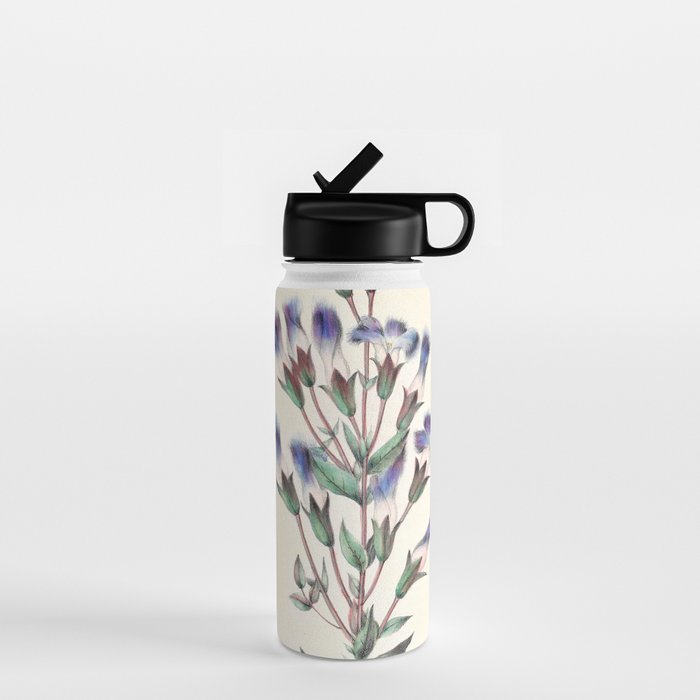  Fringed gentian by Clarissa Munger Badger, 1859 (benefitting The Nature Conservancy) Water Bottle Gallery Image 1
