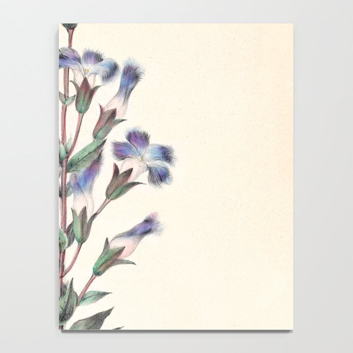  Fringed gentian by Clarissa Munger Badger, 1859 (benefitting The Nature Conservancy) Notebook Gallery Image 4
