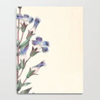  Fringed gentian by Clarissa Munger Badger, 1859 (benefitting The Nature Conservancy) Notebook Gallery Image 4