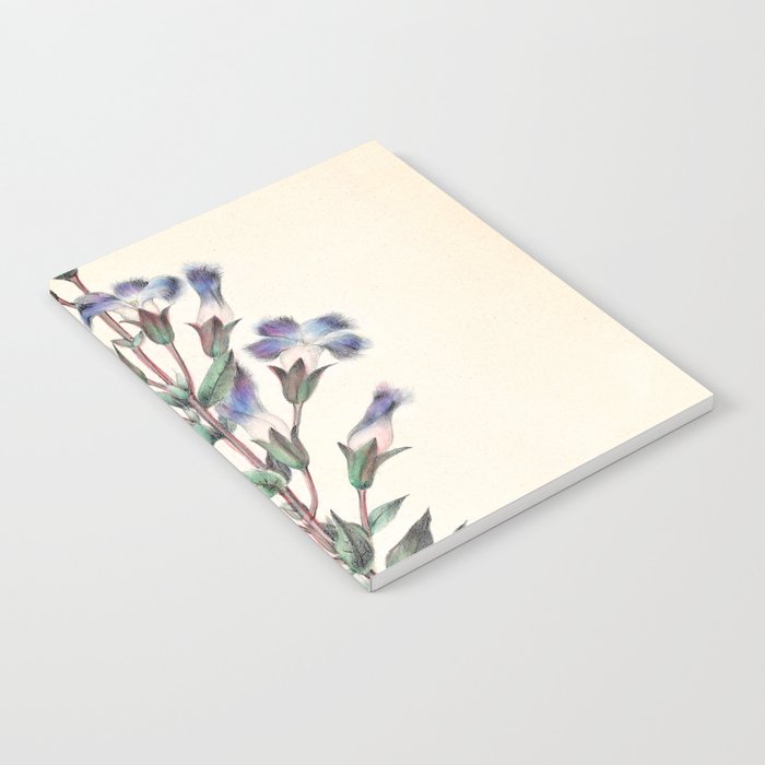  Fringed gentian by Clarissa Munger Badger, 1859 (benefitting The Nature Conservancy) Notebook Gallery Image 1