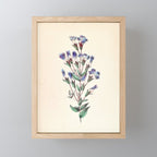  Fringed gentian by Clarissa Munger Badger, 1859 (benefitting The Nature Conservancy) Mini Art Print Gallery Image 1