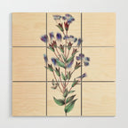  Fringed gentian by Clarissa Munger Badger, 1859 (benefitting The Nature Conservancy) Wood Wall Art Gallery Image 1